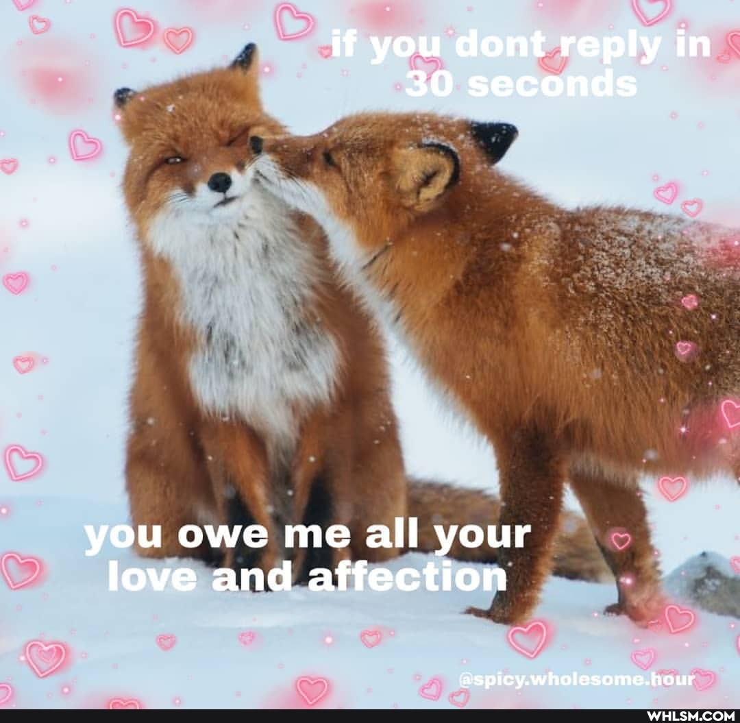 if you dont reply in
30 seconds
you owe me all your love and affection