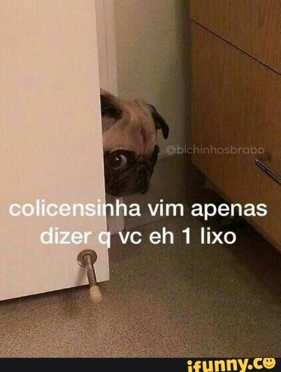 ha vim apenas
vc eh 1 lixo