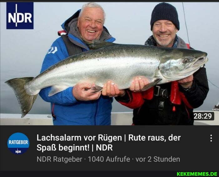 Lachsalarm vor Rügen I Rute raus, der
Spaß beginnt! I NDR NDR Ratgeber - 1040 Aufrufe vor 2 Stunden