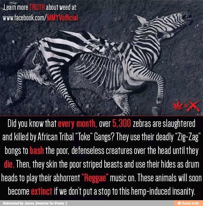 wwwfacebook.com/ ON Eus
A
A
5
ú ES
3
zebras are slaughtered TANI AEN
A SAS
bongs to
hash
the poor, defenseless creatures over the head until they
Then, they skin the poor striped beasts and use their hides as drum
heads to play their abhorrent music on. These animals will soon
ROS if we don't put a stop to this hemp-induced insanity.