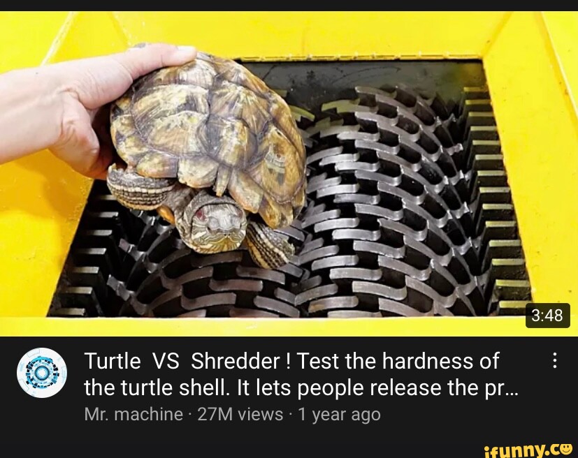 turtle-vs-shredder-test-the-hardness-of-the-turtle-shell-it-lets