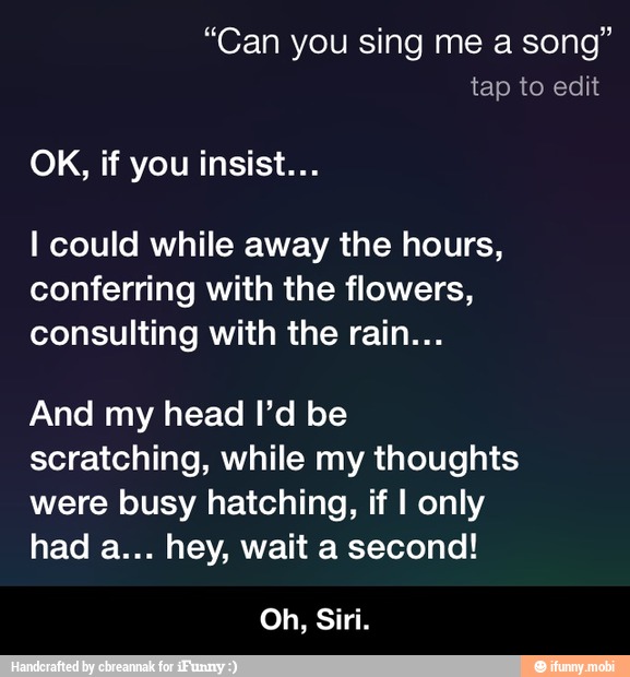 can-sing-song-i-could-while-away-the-hours-conferring-with-the