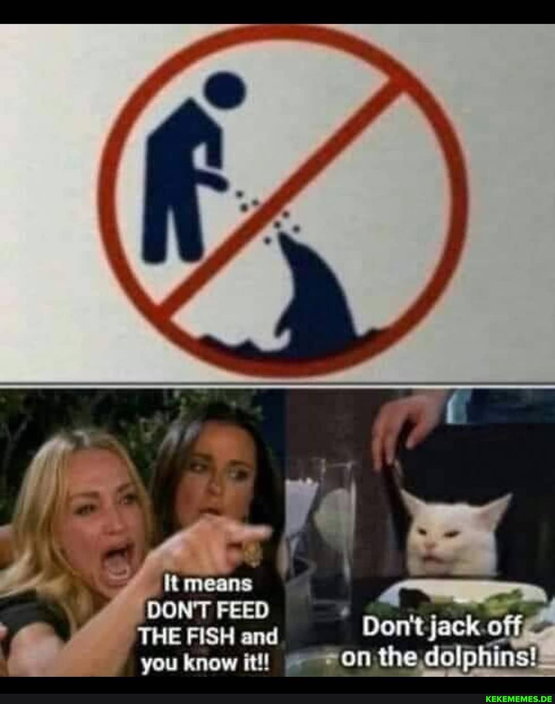 means
DON'T FEED THE FISH and you
Dont jack off an the dolpiiine!