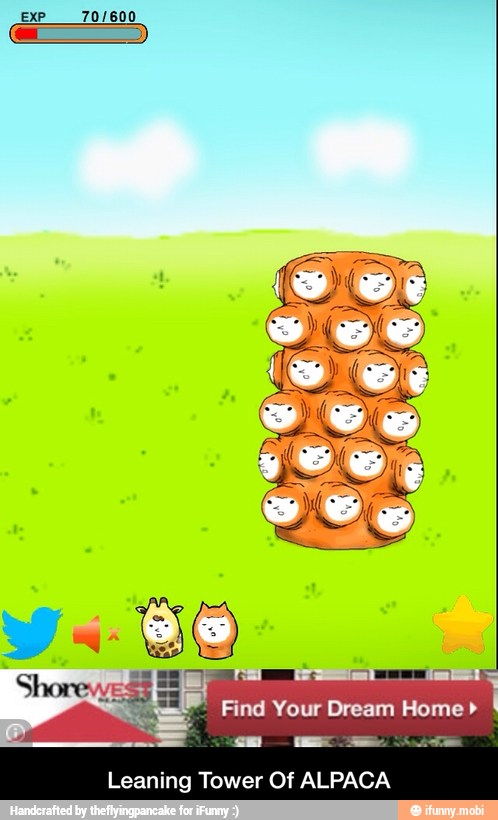 Find Your Dream Home Leaning Tower Of ALPACA - Leaning Tower Of ALPACA