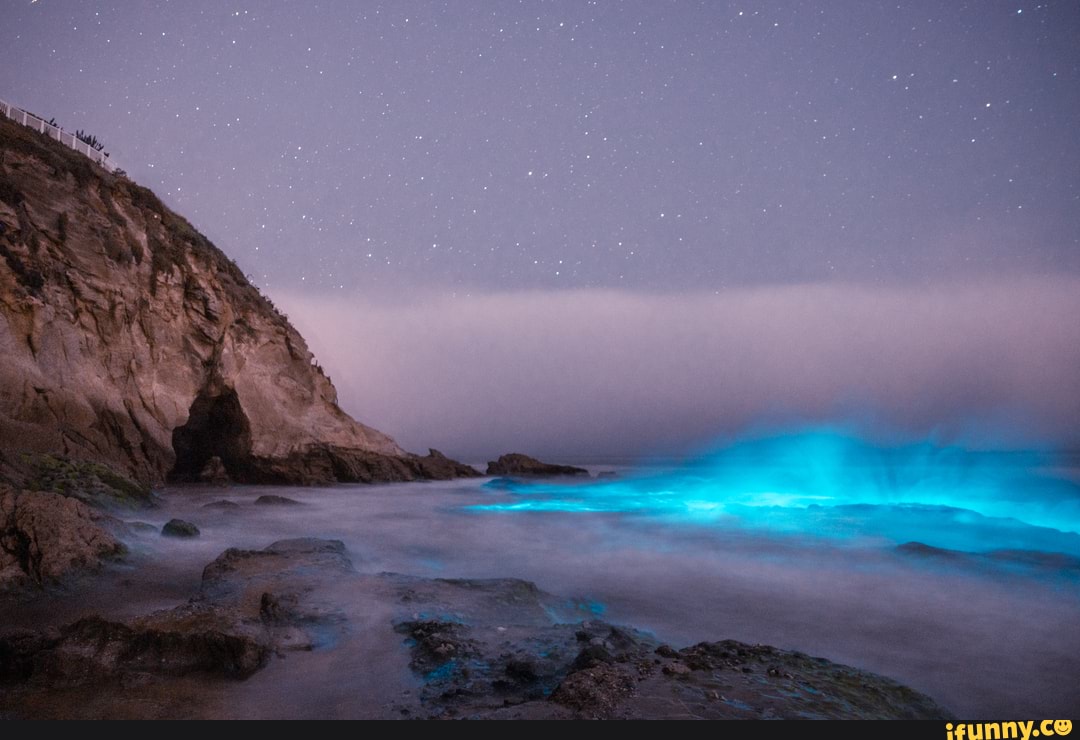 Bioluminescence in Laguna Beach, CA. Shot with Canon EOS R + EF 2470mm