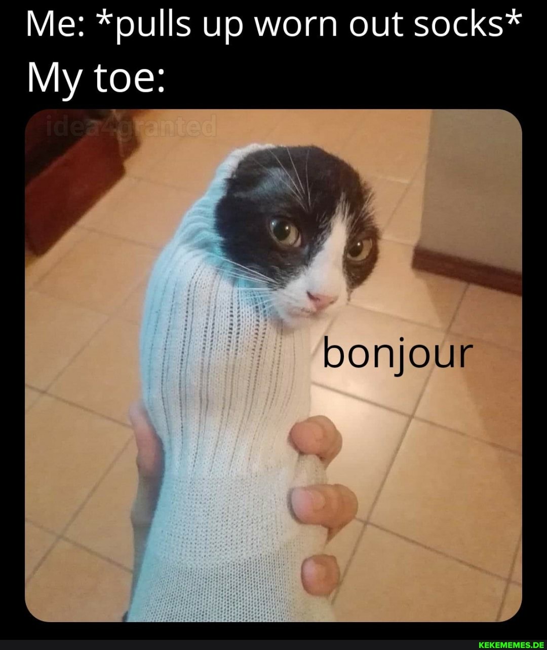 Me: *pulls up worn out socks*
My toe:
bonjour