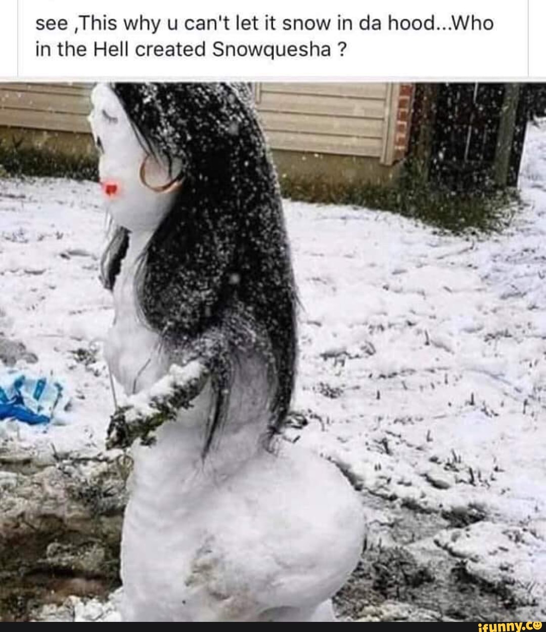 See This Why U Can T Let It Snow In Da Hood Who In The Hell Created Snowquesha Ifunny