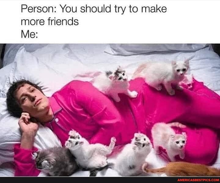 Person: You should try to make more friends
Me:
_ak