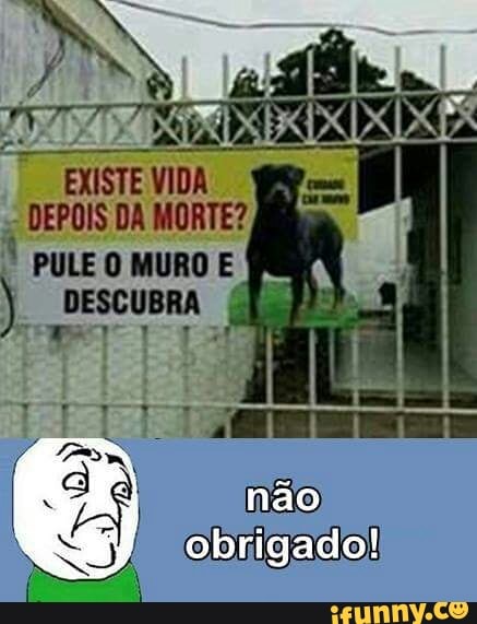 EXISTE VIDA
DEPOIS DA MORTE?
É
PULE O MURO E
