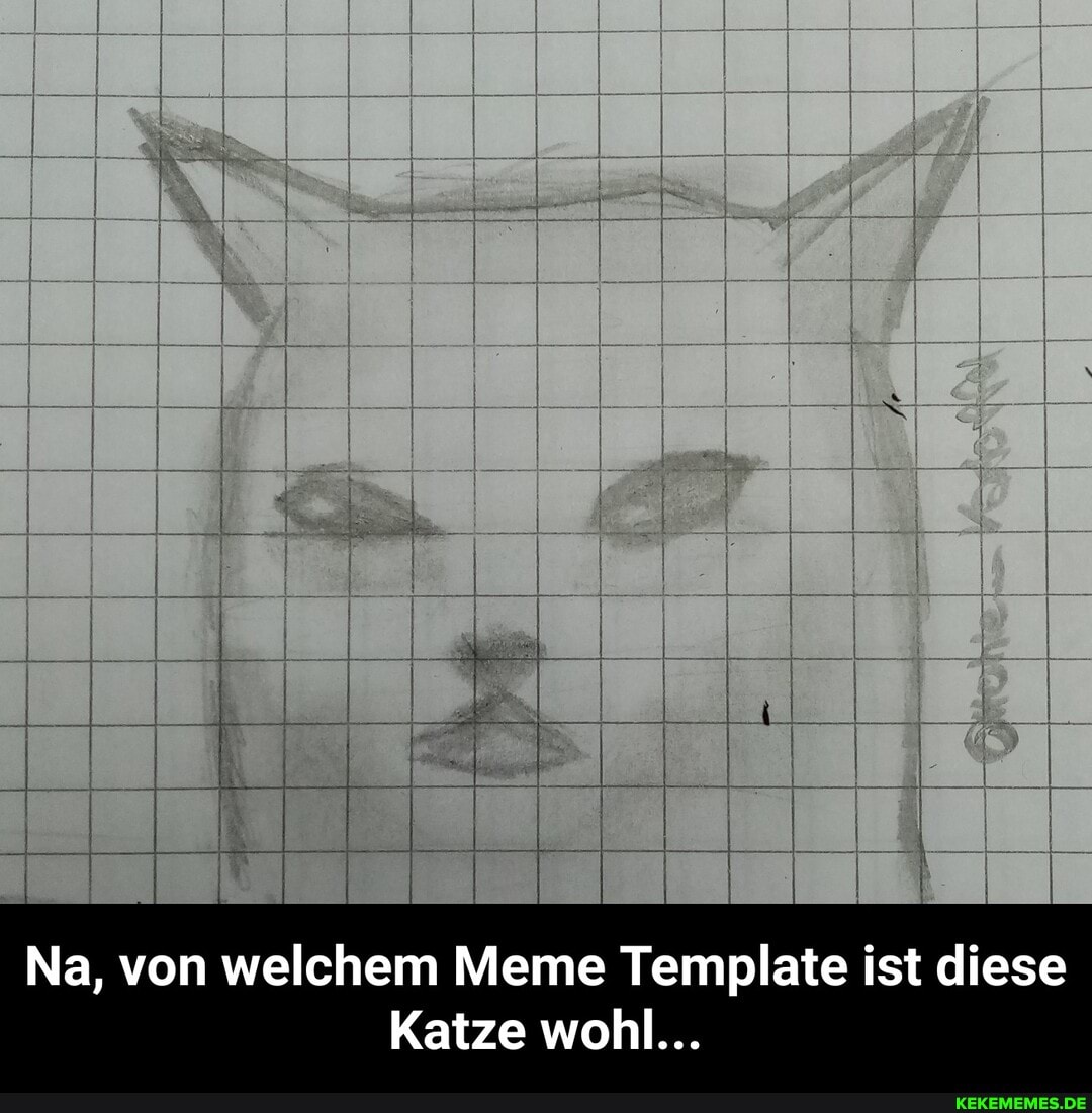 Na, von welchem Meme Template ist diese
Katze wohl... - Na, von welchem Meme Template ist diese Katze wohl...