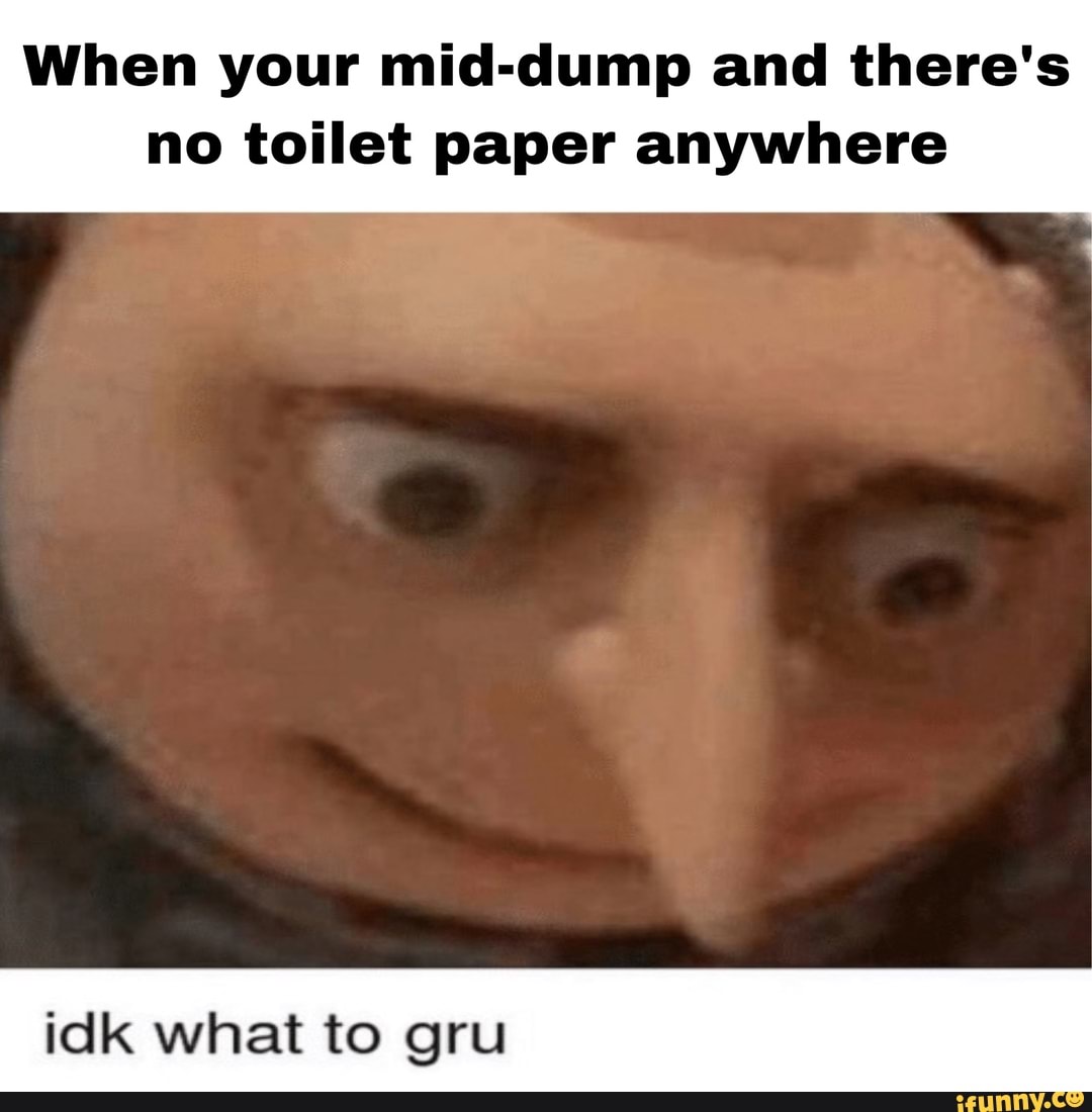 When Your Mid Dump And There S No Toilet Paper Anywhere Idk What To Gru Ifunny