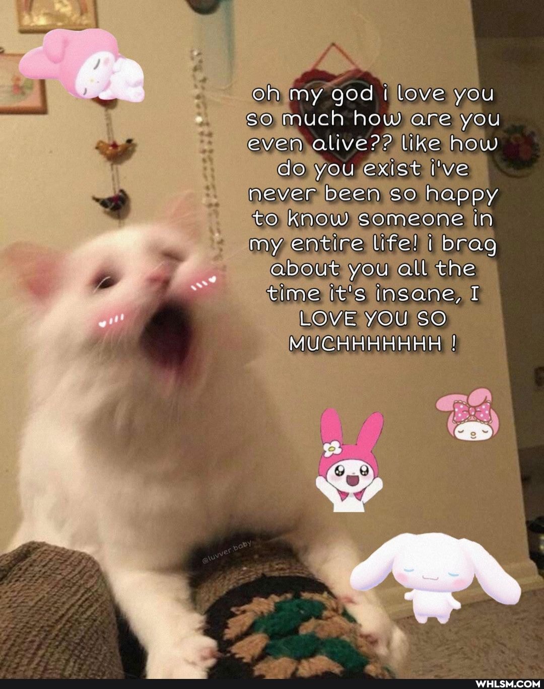 oh my god love you so mucn how are you even -alive?? like how do you exist I've never been so happy to knew someone in my entire lite! brag about you all the time it's insane, I LOVE YOU SO MUCHHHHHHH !