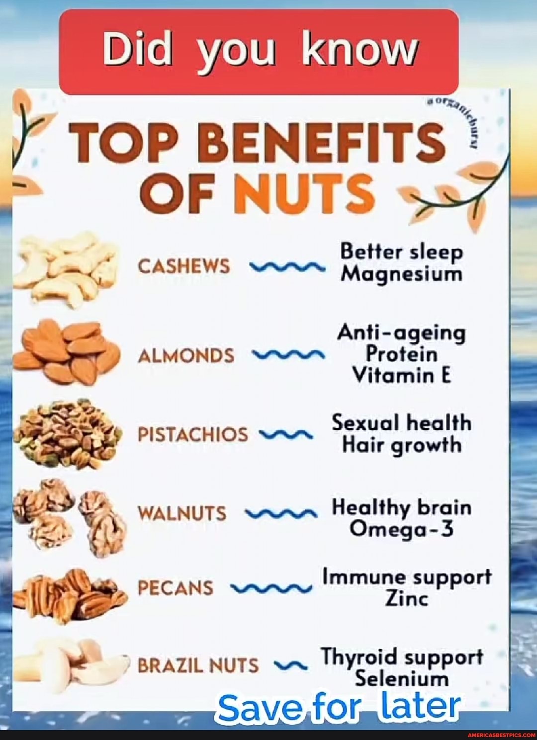 Did you Know TOP BENEFITS OF NUTS Better sleep CASHEWS Magnesium Anti