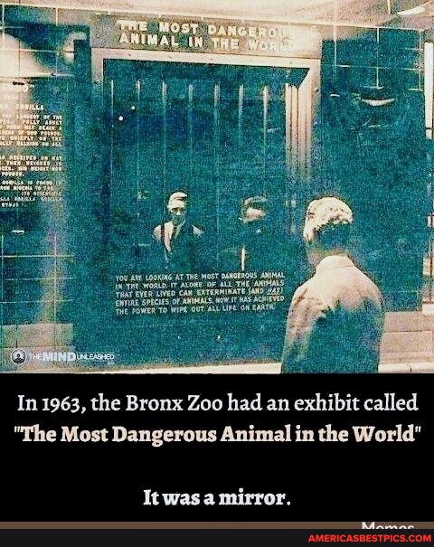 In 1963, the Bronx Zoo had an exhibit called "The Most Dangerous Animal