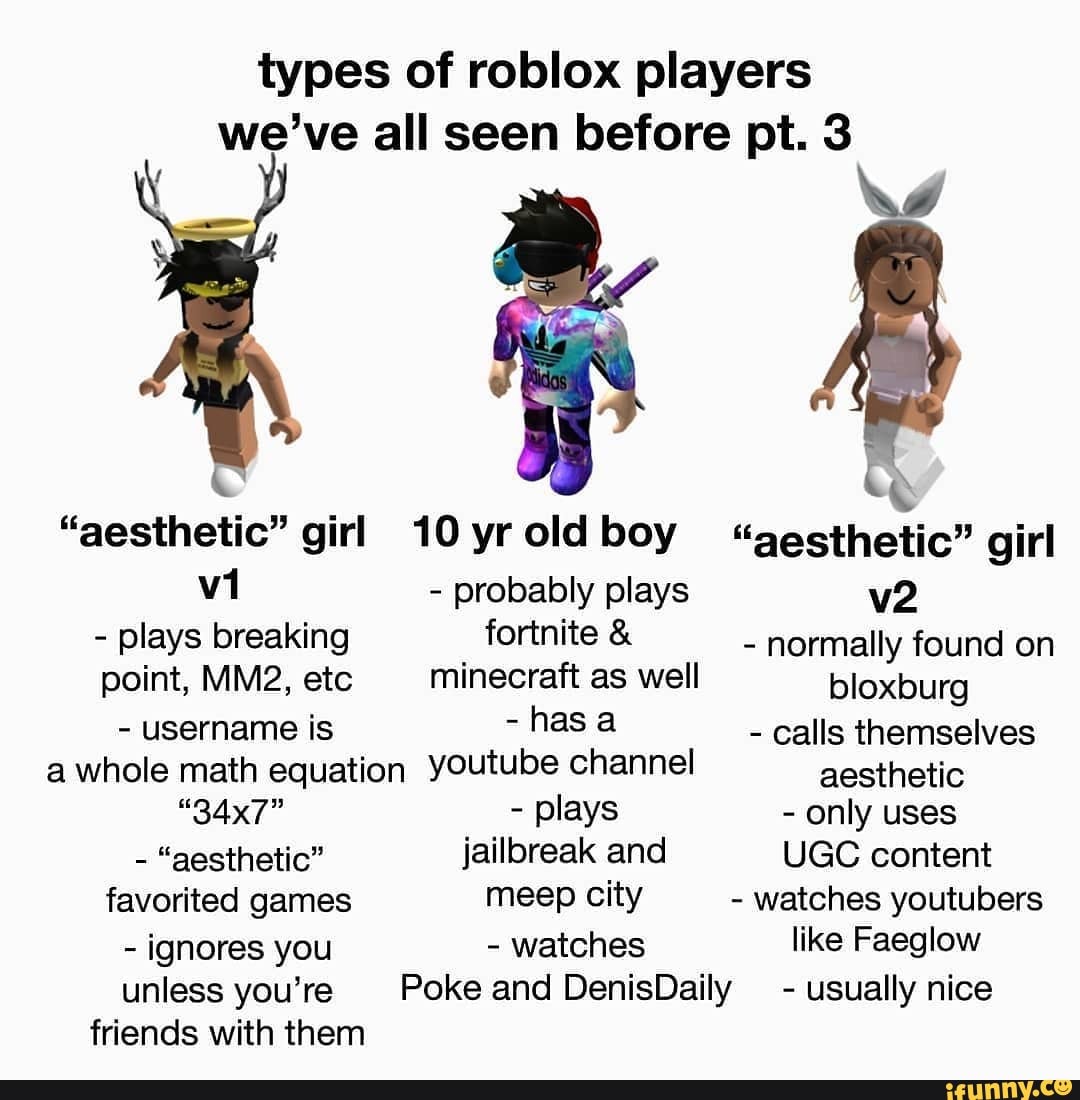 Types of roblox players we've all seen before pt. 3 