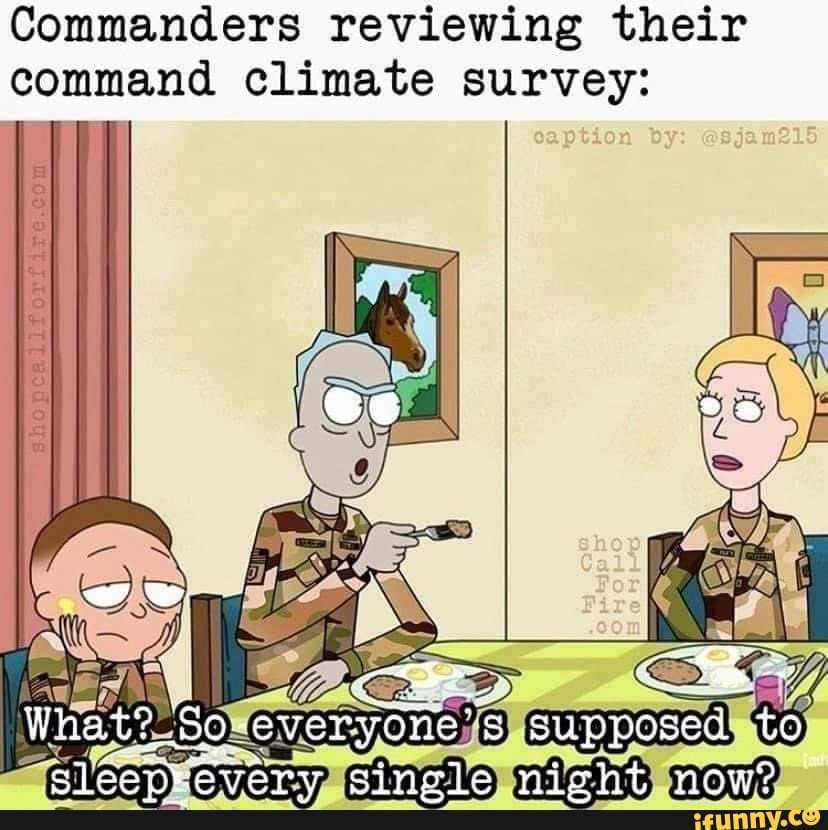 Commanders Reviewing Their Command Climate Survey Ww What Single