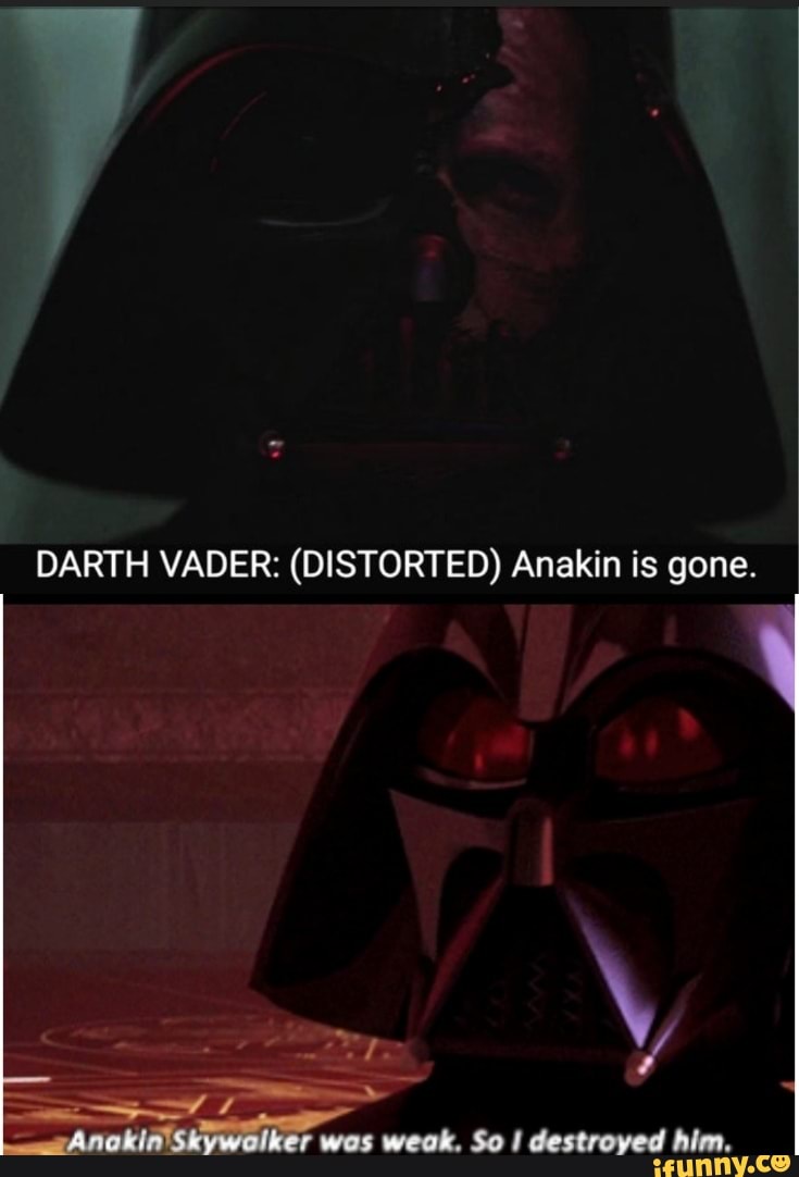 DARTH VADER: (DISTORTED) Anakin is gone. - )