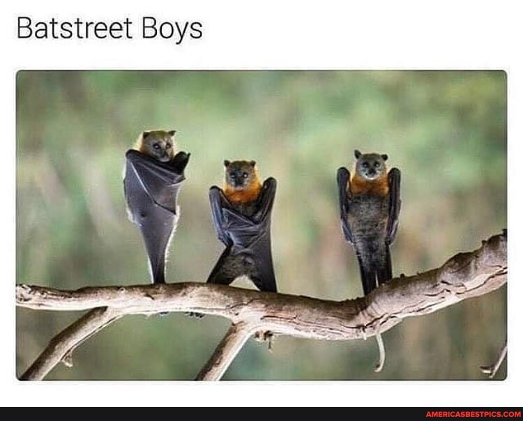 Batstreet Boys