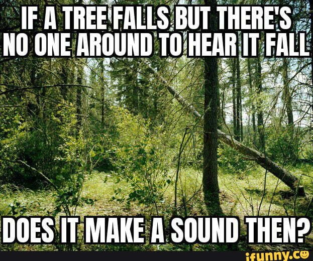 IF A TREE'FALLS.BUT THERE'S NO ONE AROUND TO HEAR IT FALL DOES IT MAKE ...