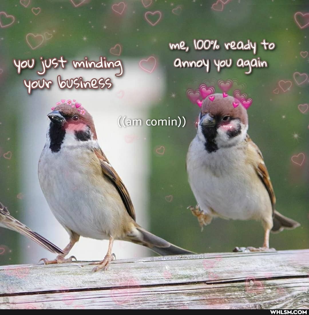 you ot minding your lousin2.55
me, ready to
Annoy you
({am comin))