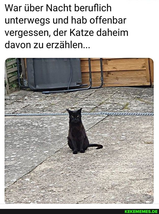 War über Nacht beruflich unterwegs und hab offenbar vergessen, der Katze daheim davon zu erzählen...