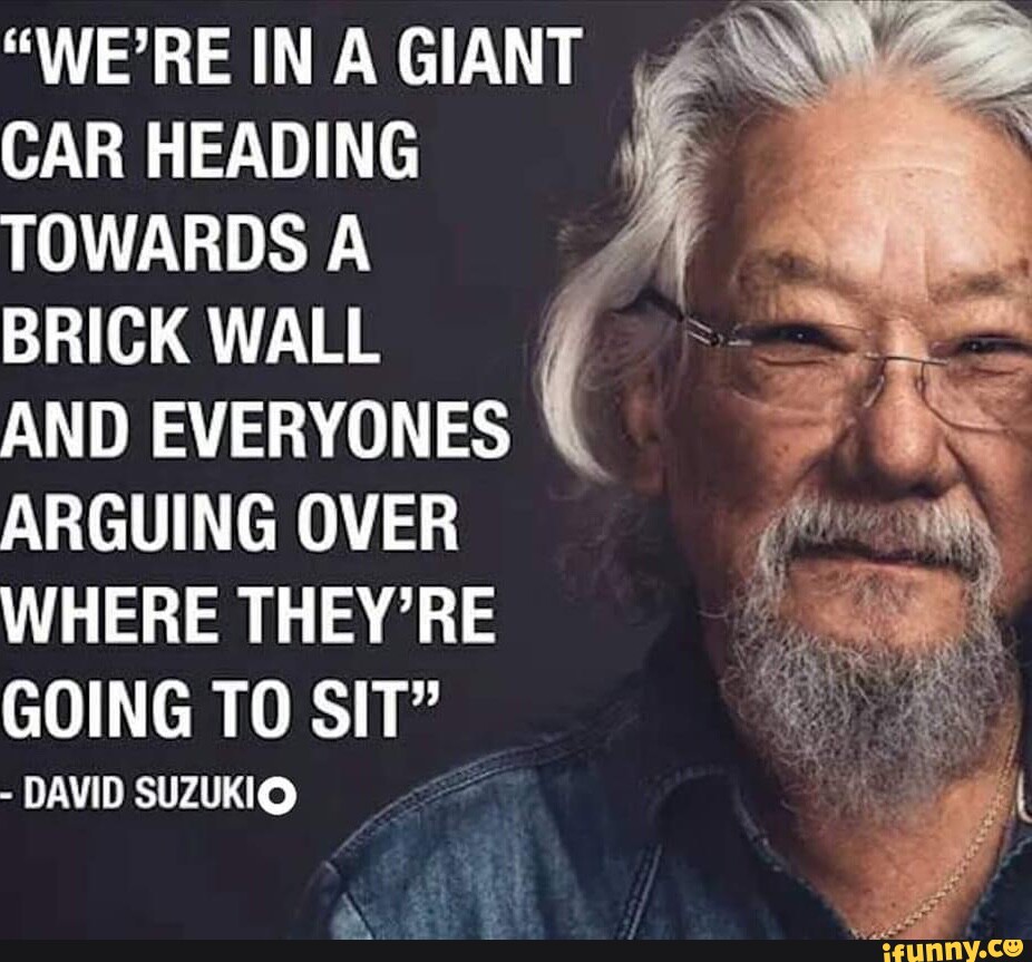 "WE'RE IN A GIANT CAR HEADING TOWARDS A BRICK WALL AND EVERYONES