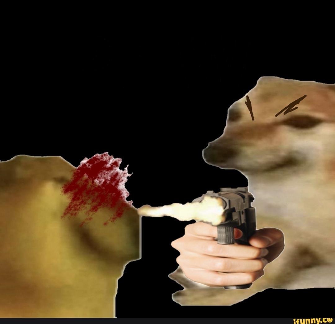 pew, dog, cachorro, doge