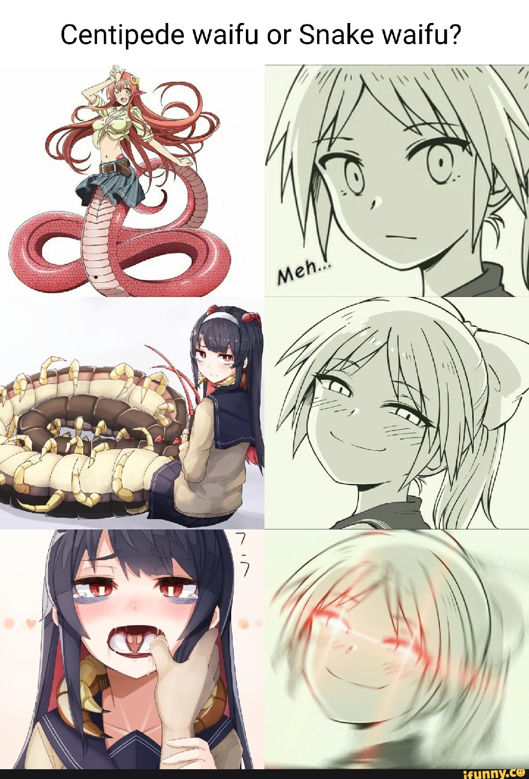 Centipede Waifu Or Snake Wa WAN IFunny   7b812248f64ebd843eda124acafc4a8b1f1108ebecaeefb9dee5b92ff712ede0 1 