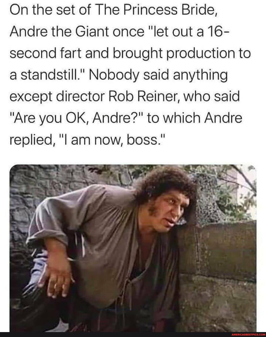 On the set of The Princess Bride,
Andre the Giant once "let out a 16- second fart and brought production to a standstill." Nobody said anything except director Rob Reiner, who said
"Are you OK, Andre?" to which Andre replied, am now, boss."