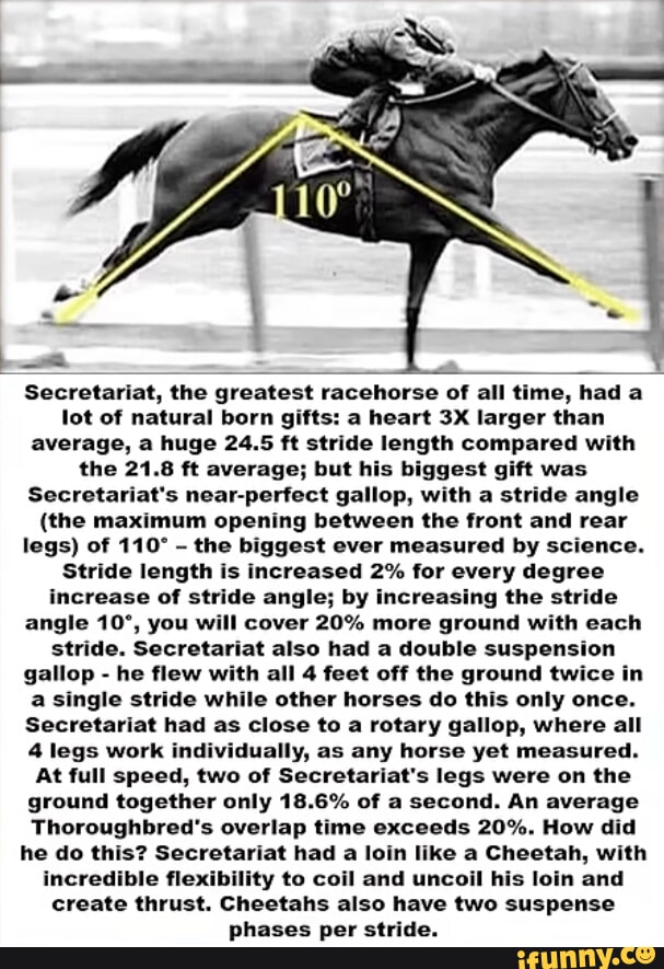 Secretariat, the greatest racehorse of all time, had lot of natural ...