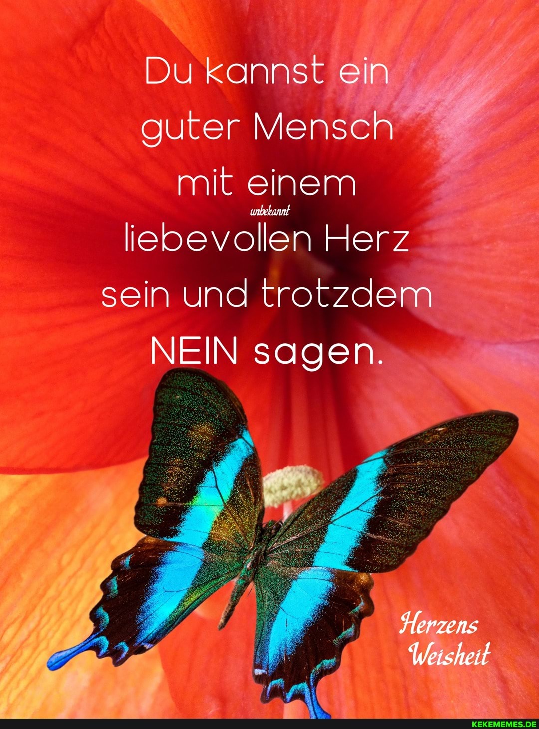 Du kannst ein guter Mensch mit einem liebevollen Herz sein und trotzdem
NEIN sagen.
Herzens
Weisheit