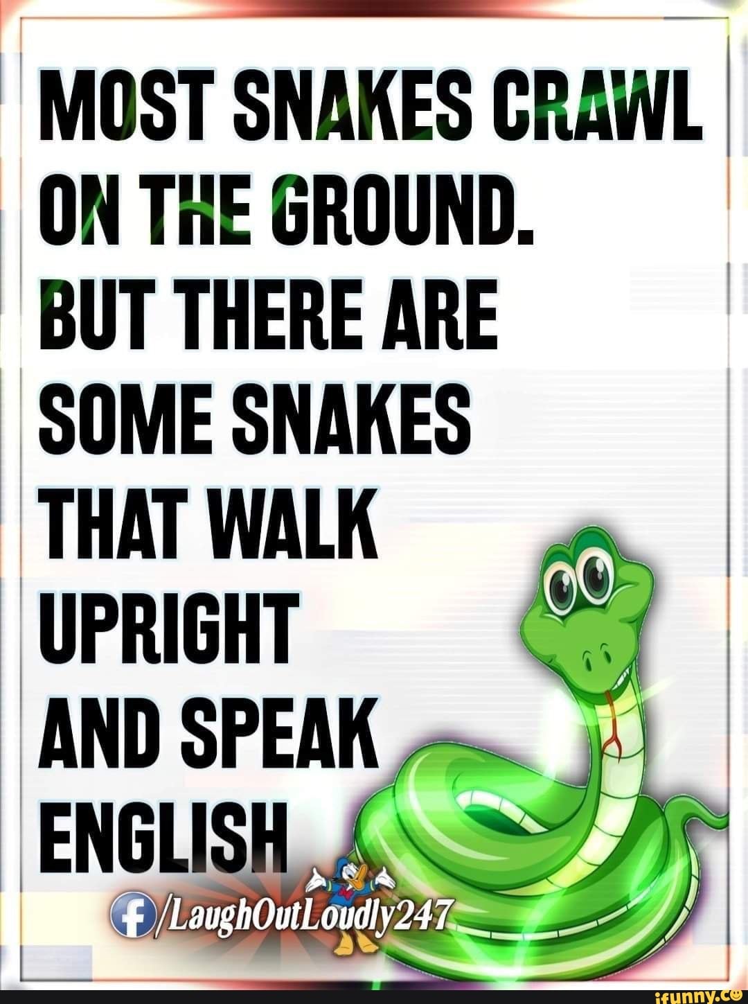 MOST SNAKES CRAWL I ON THE GROUND. BUT THERE ARE SOME SNAKES THAT WALK