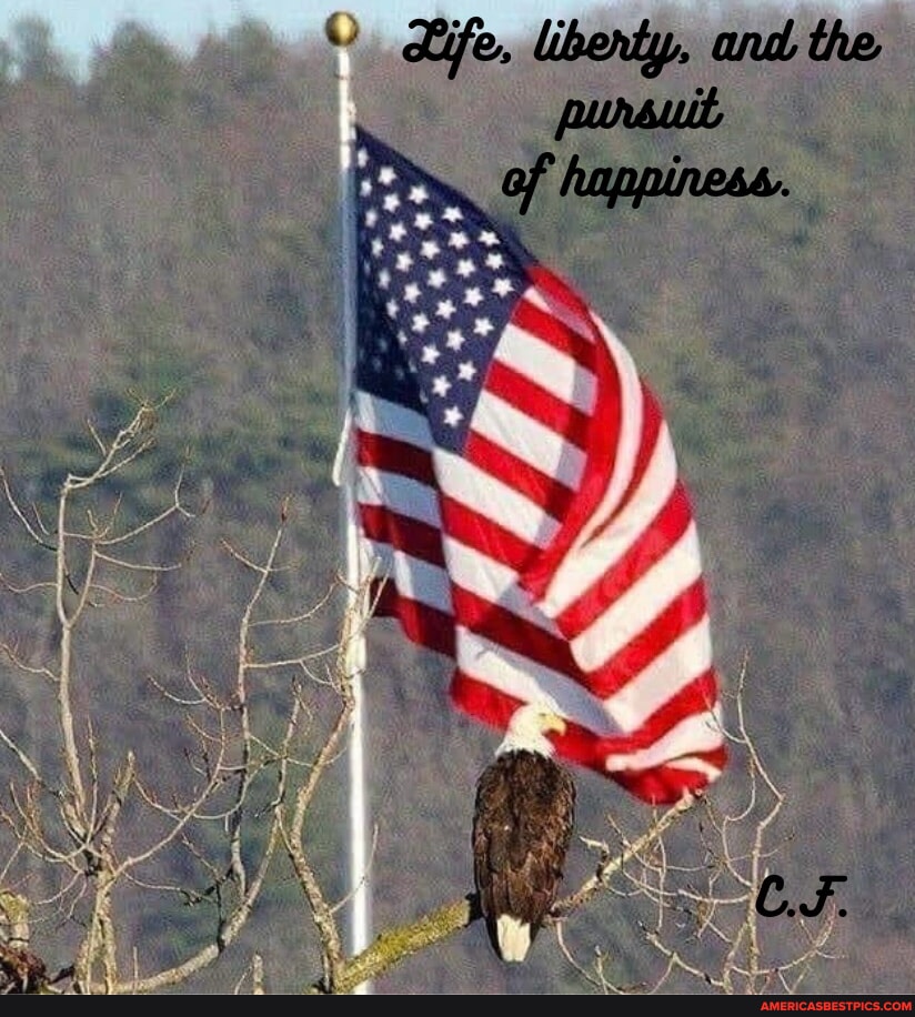 America’s best pics and videos the best memes, video, gifs