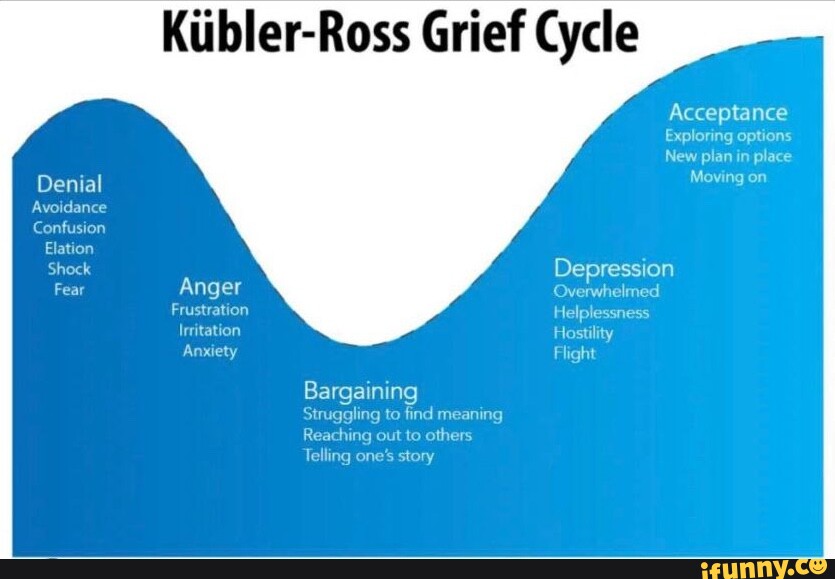 Denial Avoidance Confusion Elation Shock Fear Anger Frustration ...