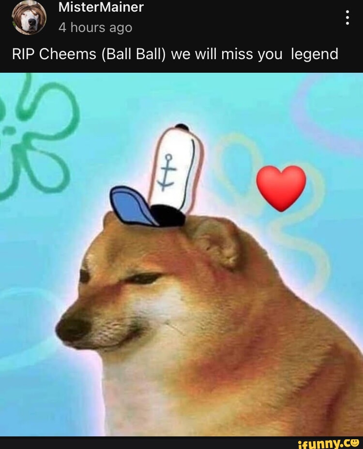 MisterMainer 4 hours ago RIP Cheems (Ball Ball) we will miss you legend ...