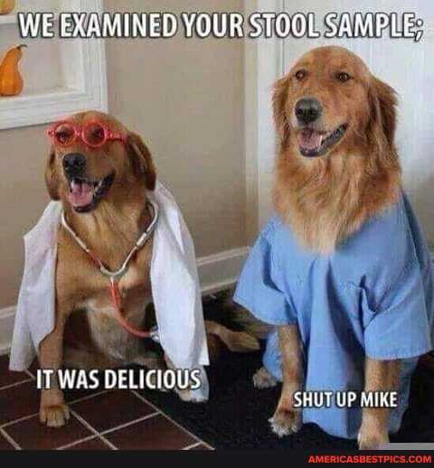 WE EXAMINED YOUR STGL SAMPLE:
IT DELICIOUS SHUT UP MIKE