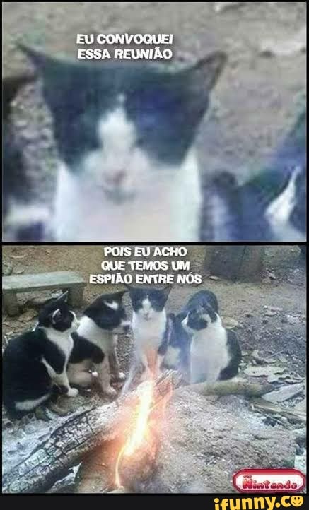 CONVOQUEI EU ESSA REUNIÃO
POIS ACHO CRIE TERAOS UM ESPIÃO ENTRE NOS