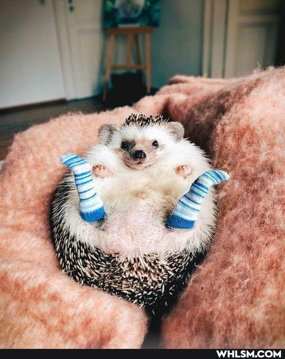 aww, smile