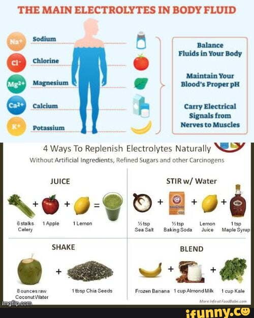 THE MAIN ELECTROLYTES IN BODY FLUID Balance Fluids in Your Body
