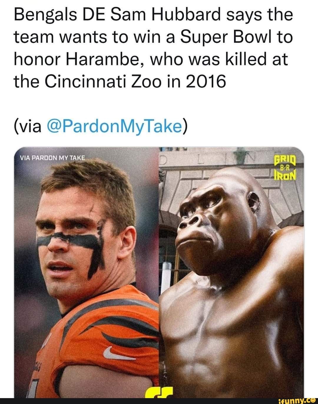 DomIsLive NEWS on X: Bengals DE Says the Team Wants to Win a Super Bowl to  Honor Harambe, Who Was Killed at the Cincinnati Zoo in 2016   / X