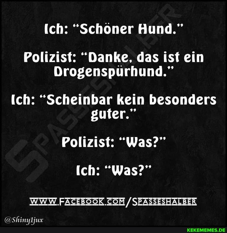 ich: "Schöner Hund."
Polizist: "Danke, das ist ein
Drogenspürhund."
ich: "Scheinbar kein besonders guter."
Polizist: "Was?"
Ich: "Was?"
WWW SEASSESHALBER