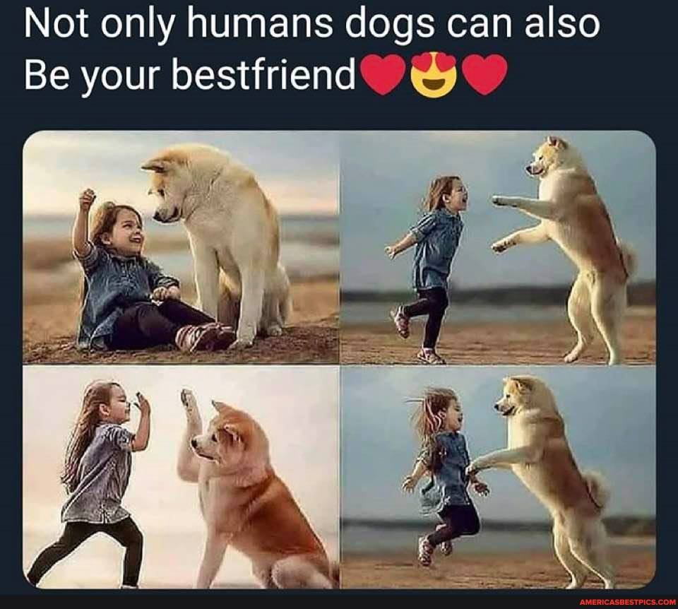 Not only humans dogs can also
Be your bestfriend dy