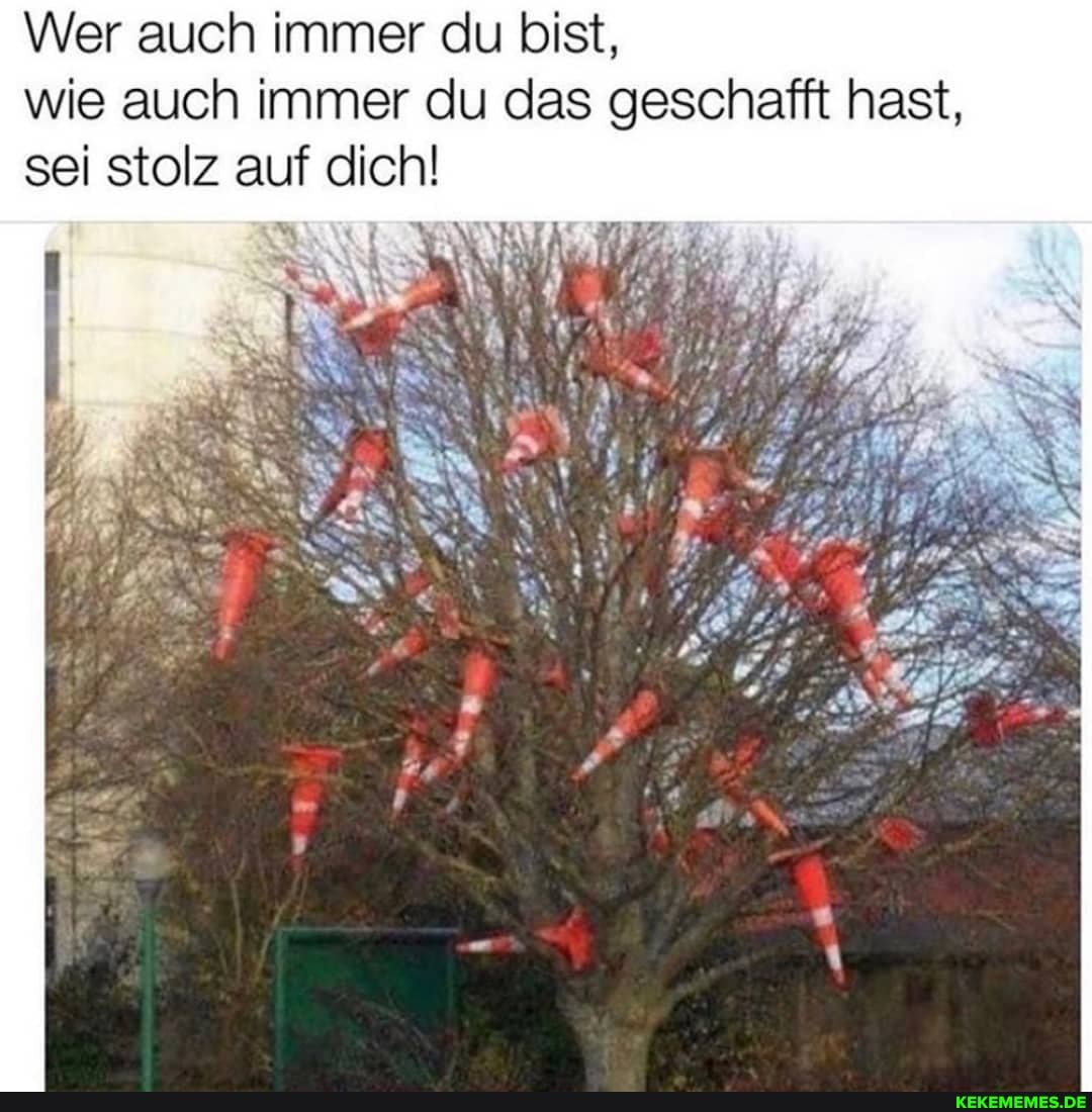 Wer auch immer du bist, I wie auch immer du das geschafft hast, sei stolz auf dich!