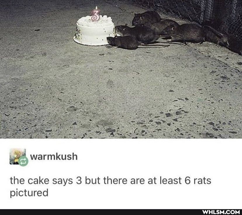 warmkush
the cake says but there are at least 6 rats pictured