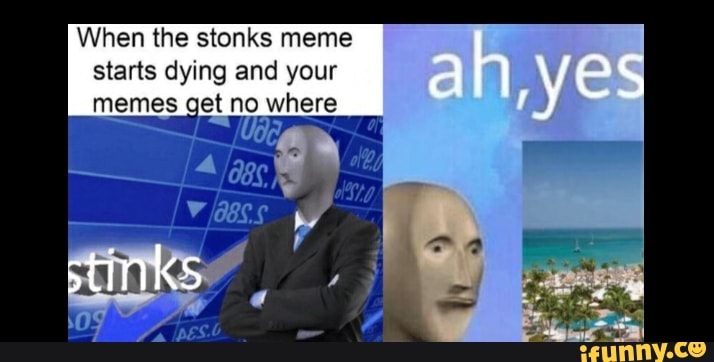 When the stonks meme starts dying and your memes cat no where - iFunny