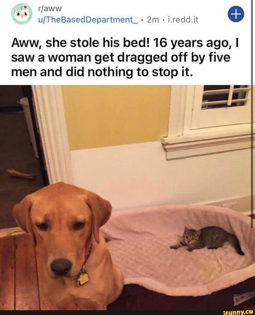 Aww She Stole His Bed 16 Years Ago I Saw A Woman Get Dragged Off By Five Men And Did Nothing 