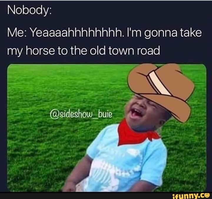 Nobody:
Me: Yeaaaahhhhhhhh. I'm gonna take
my horse to the old town road