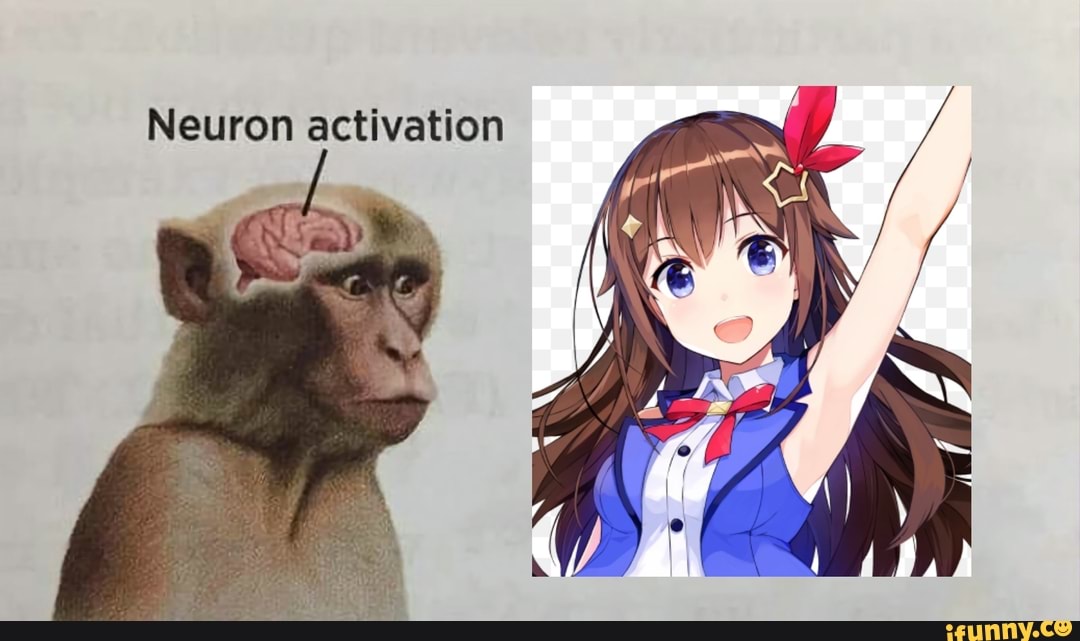 monkey-neuron-activation-meme-template