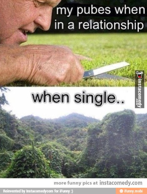 "my pubes when
in a relationship
aon
4 when single.. I
