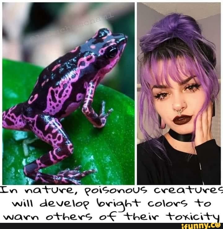 a
Tw nature,
RaisonoUS creature
will develog lowiaht colors to
warn others of their toxicit
